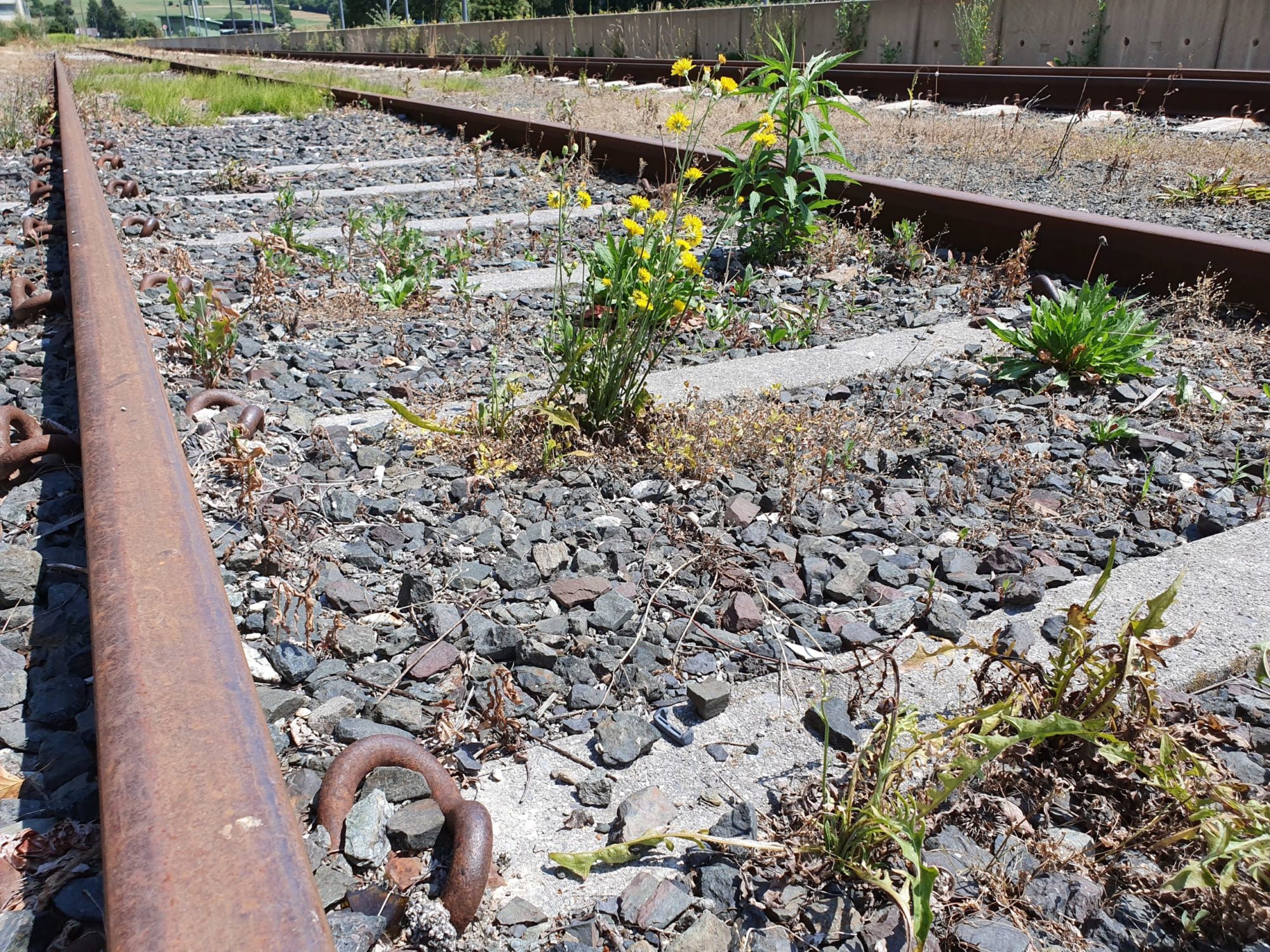 Modellbahn Mohlerau
